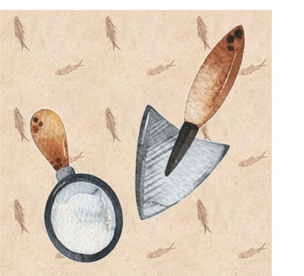 2026 Connecticut Archaeology Fair